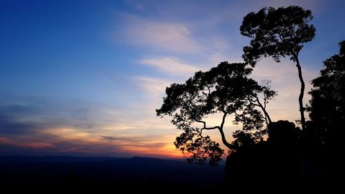 Low angle view of silhouette trees against sky during sunset