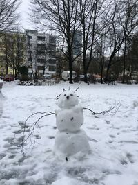 Bare trees on snow covered field