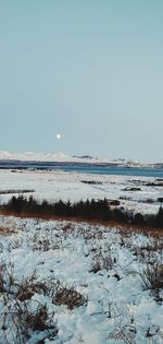 Scenic view of sea against clear sky during winter