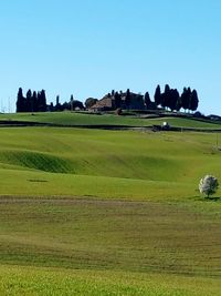 Scenic view of field against clear blue sky