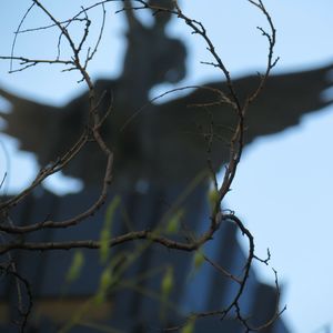 Low angle view of bird perching on tree