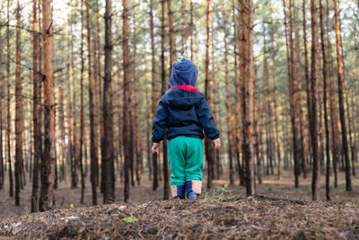 Rear view of child standing in forest