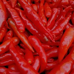 Full frame shot of red chili peppers