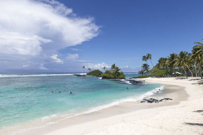 Three people swimming in blue waters at tropical sandy beach