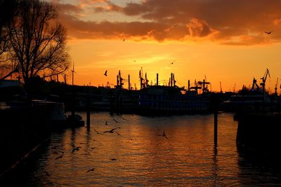 Boats in harbor at sunset