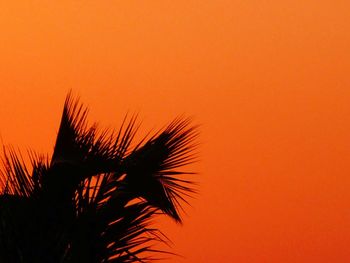 Low angle view of silhouette palm tree against orange sky