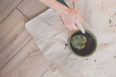 Directly above shot of person spraying water over plant on table