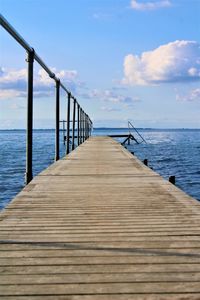 A tree-bridge at the blue ocean