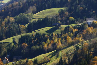 Scenic view of landscape during autumn