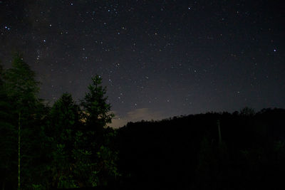 Low angle view of silhouette trees against sky at night