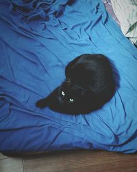 High angle view of black cat sitting on blanket