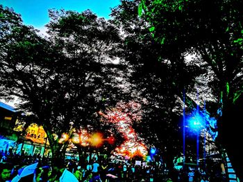 Low angle view of illuminated trees against sky at night