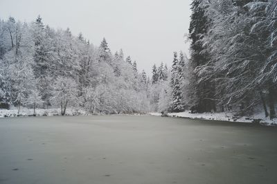 Scenic view of snow covered landscape