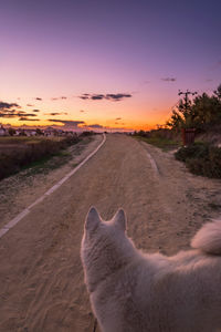 Road against sky during sunset