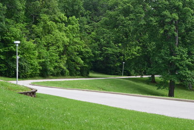 Trees in park