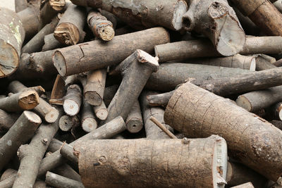 Full frame shot of logs in forest