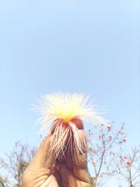 Close-up of hand holding dandelion against sky