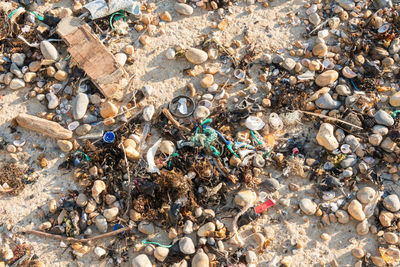 High angle view of pebbles on beach