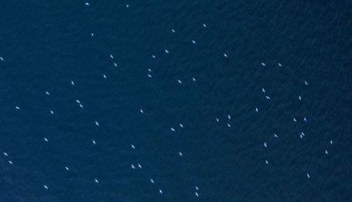 Full frame shot of water