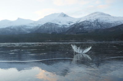 Scenic view of lake against mountains during winter