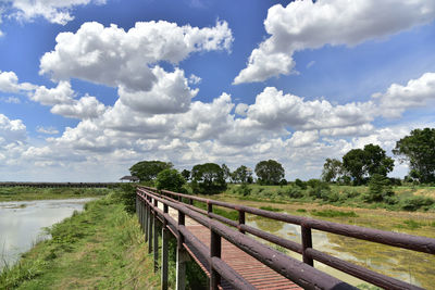 Scenic view of trees on field against sky