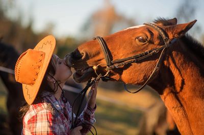 Side view of mid adult woman kissing horse in barn during sunset