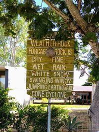 Information sign on tree