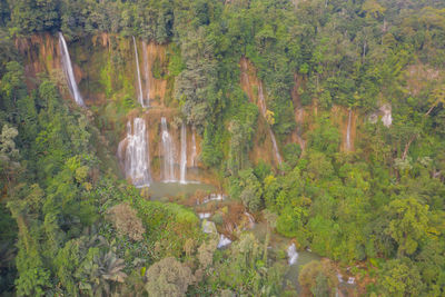 High angle view of waterfall in forest