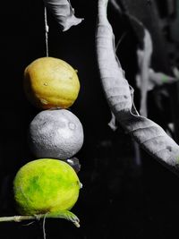 Close-up of bananas growing on plant against black background