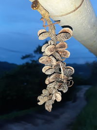 Close-up of rope tied to metal