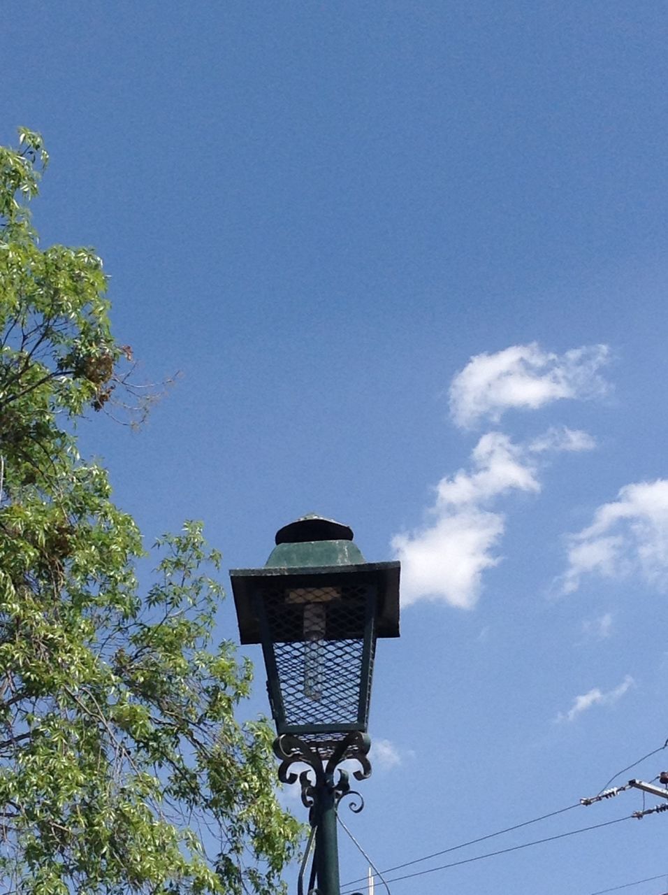 low angle view, street light, lighting equipment, sky, built structure, tree, architecture, blue, building exterior, clear sky, silhouette, high section, lamp post, electricity, copy space, outdoors, dusk, technology, day, electric light