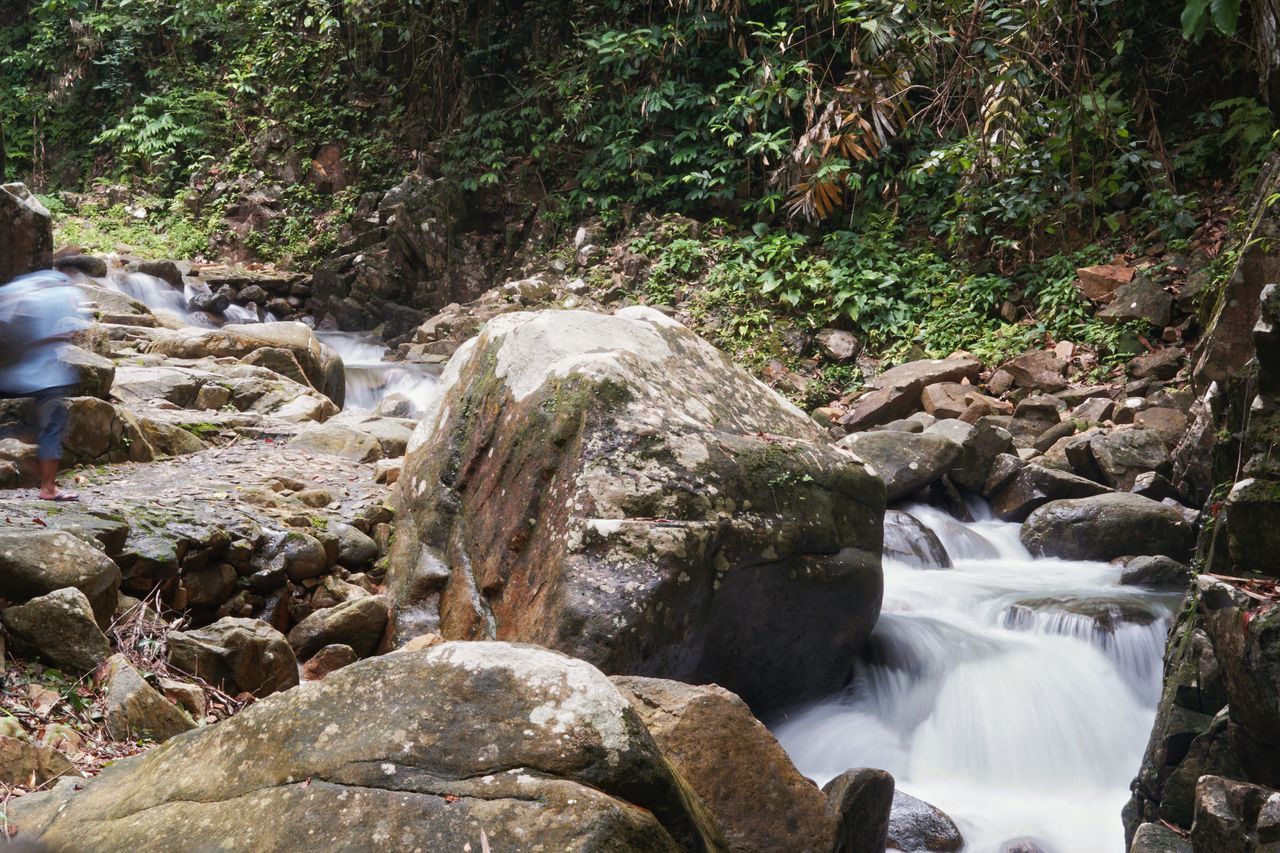 WATERFALL IN FOREST