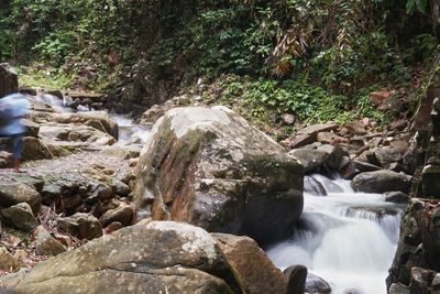 Stream flowing through rocks in forest