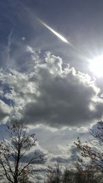 Low angle view of trees against sky