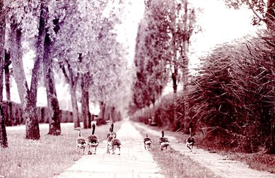 People walking on road