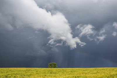 Scenic view of field against sky