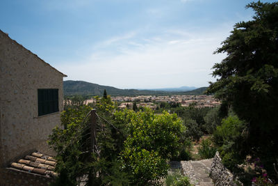Panoramic view of trees and buildings against sky
