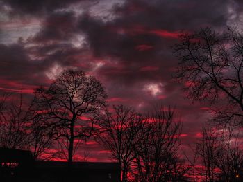 Low angle view of silhouette trees against sky at night