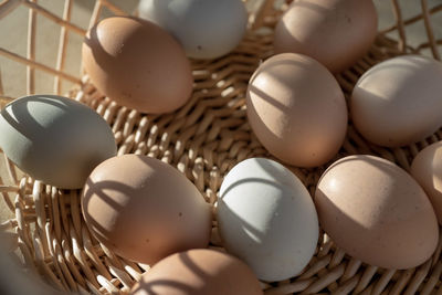 Basket of natural brown and bluish chicken eggs from local farmer's market