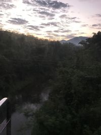 Scenic view of trees against sky during sunset