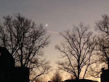 Low angle view of silhouette trees against sky at night