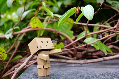 Danbo against leaves