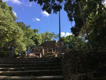 Low angle view of steps amidst trees against sky