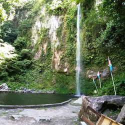 Scenic view of waterfall against trees in forest