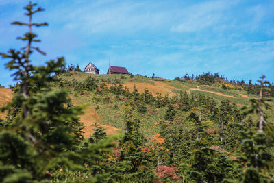 Scenic view of trees and houses against sky