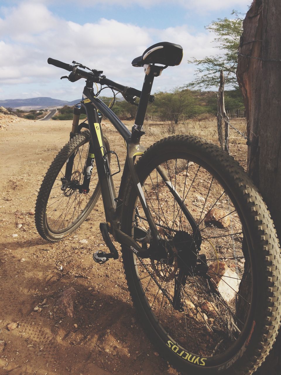 bicycle, sky, transportation, land vehicle, wheel, mode of transport, stationary, parking, cloud - sky, parked, tree, outdoors, no people, day, sunlight, shadow, cloud, metal, tranquility, nature