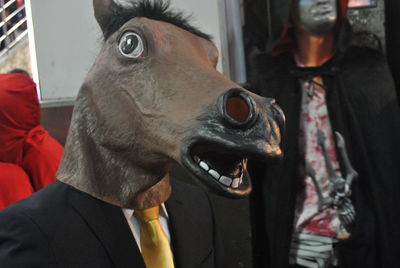 Close-up of man wearing horse mask