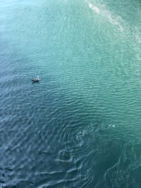 High angle view of people swimming in sea