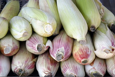 Full frame shot of onions