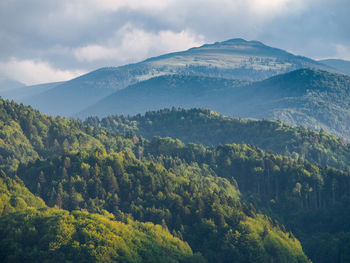 Scenic view of trees and mountains against sky